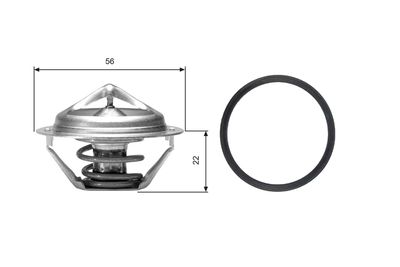 TH06177G1 thermostat
