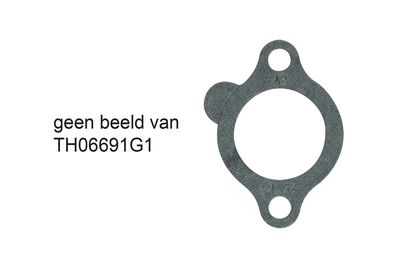 TH06691G1 thermostat