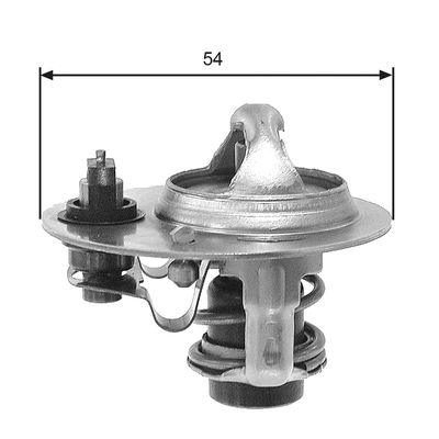 Thermostat, coolant