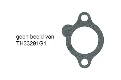 TH33291G1 thermostat