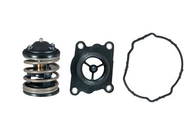 TH47487K1 thermostat