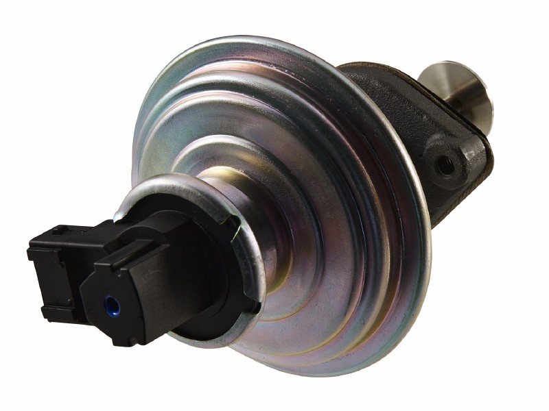 EGR valve