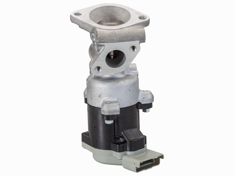 EGR valve