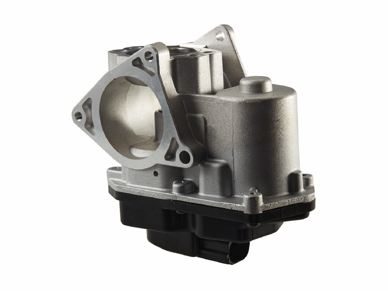 EGR valve