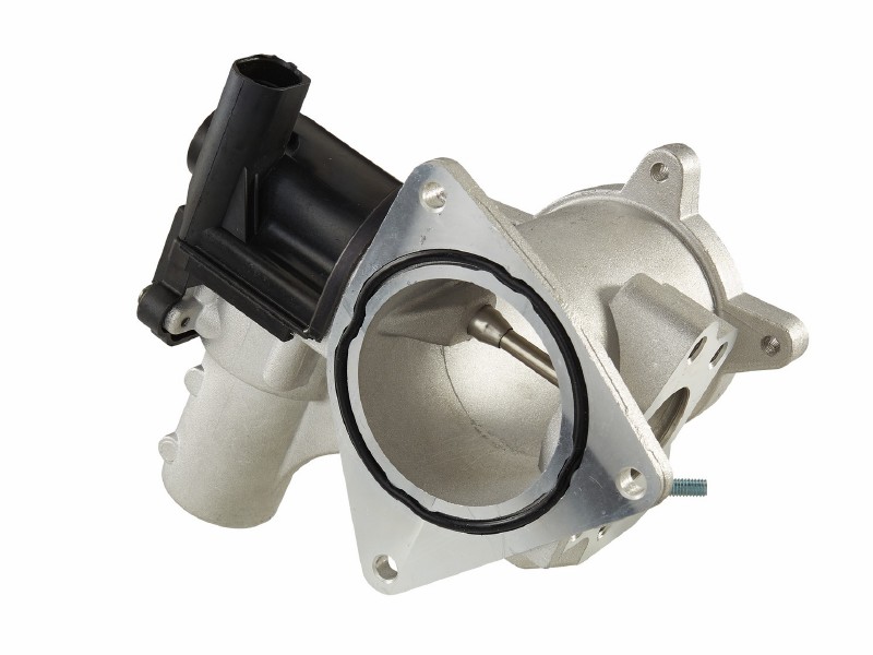EGR valve
