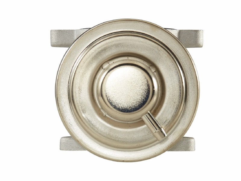 EGR valve
