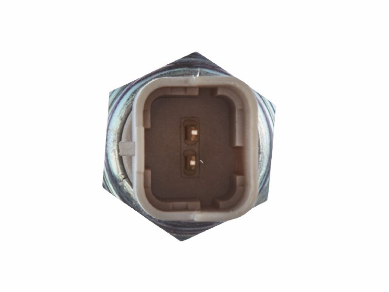 Switch, reversing light