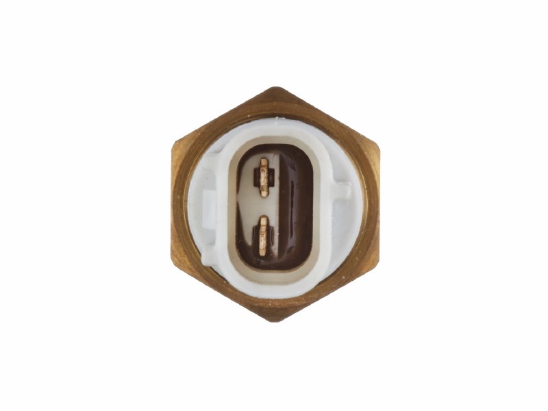 Temperature switch, radiator fan