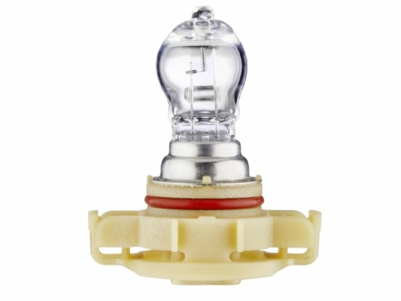Lampadina, fendinebbia PSX24W 12V