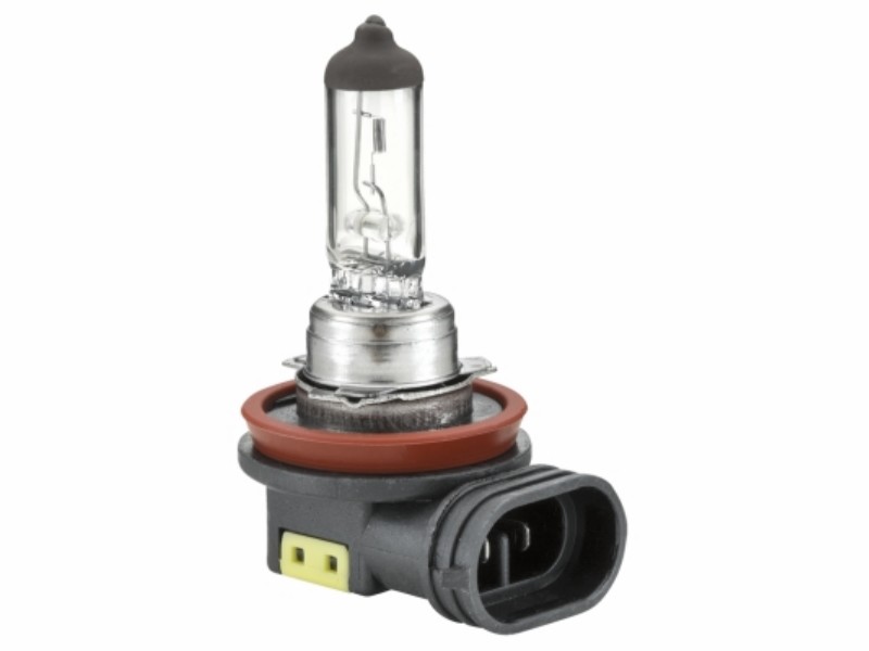 Lampadina H8 12V