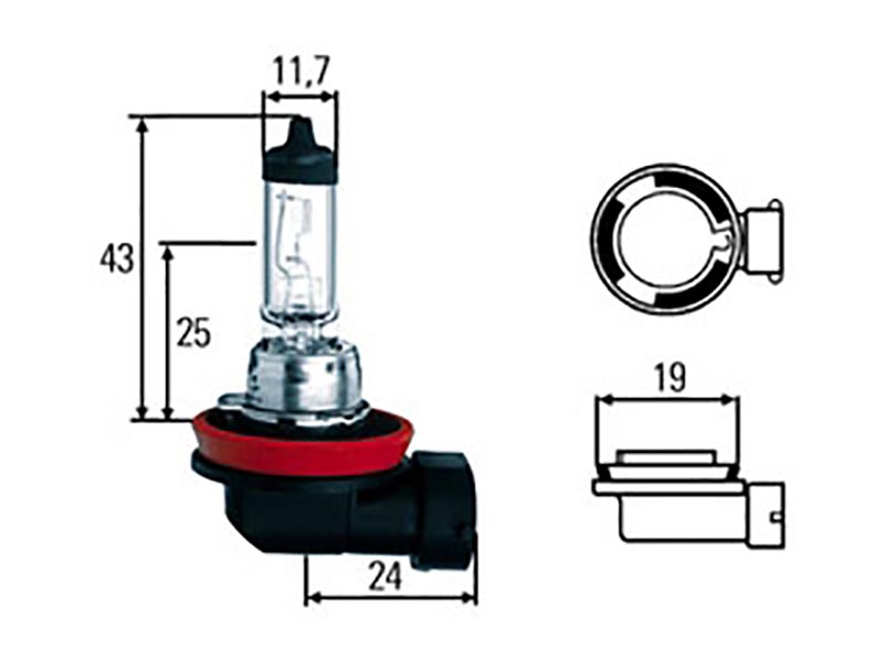 Lampadina H11 12V