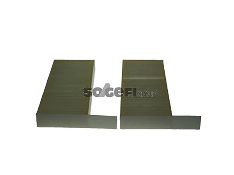 Filtro antipolline 2 pezzi Peugeot 308