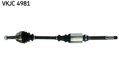 Citroën, Peugeot ax, saxo, 106