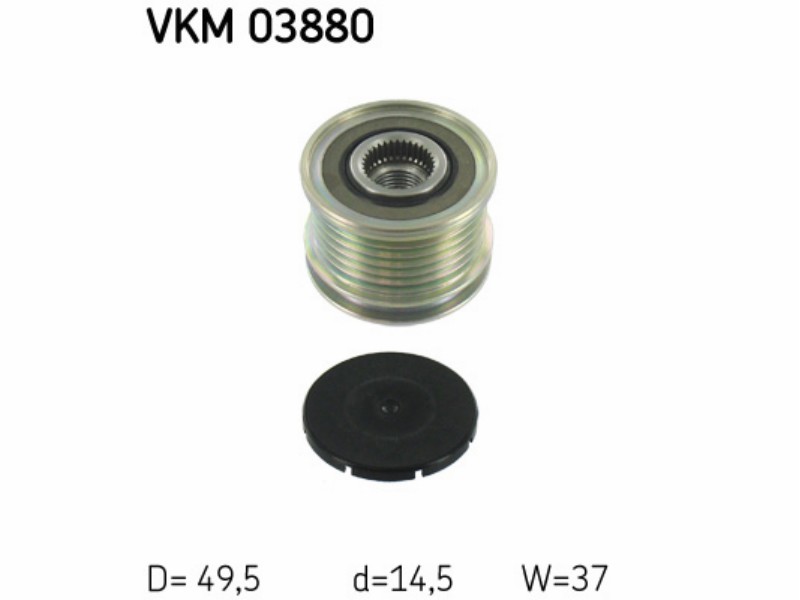 Alternator freewheels