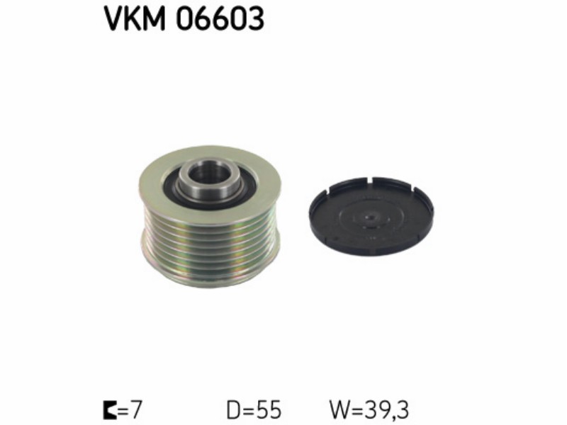 Alternator freewheels