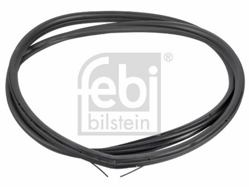 Guarnizione portiera BMW: 3 (F30 lci),3 (F30),3 (F31 lci),3 (F31),M3 (F80)
