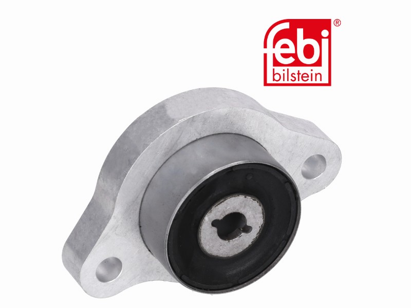 Control arm bush
