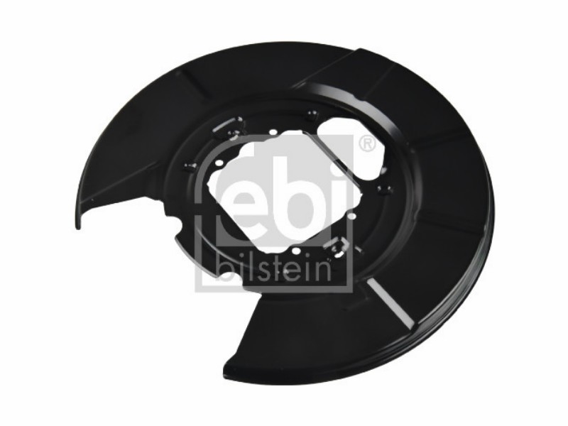 Lamiera paraspruzzi per disco freno BMW: X5 (E53)