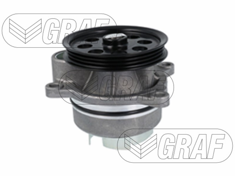 P.a. Ford hcv Ford lcv 19-
