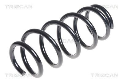 CIFAM 505-095 / Cilindro trasmettitore, Frizione