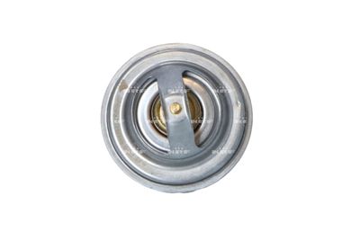 Thermostat Iveco eurostar 93-