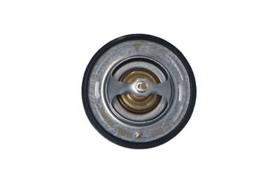 Thermostat pick-up 98-