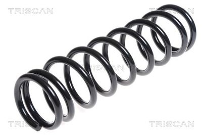 CIFAM 505-098 / Cilindro trasmettitore, Frizione