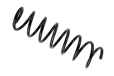 BMW 5 coil spring