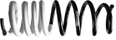 BMW 5 coil spring