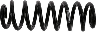 Molle elicoidali Volkswagen: Tiguan (AD1, AX1)