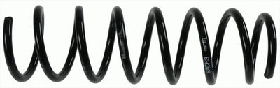 BMW 5 coil spring