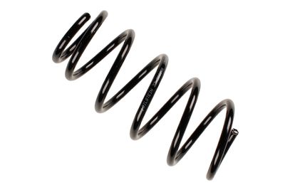 BMW 5 coil spring