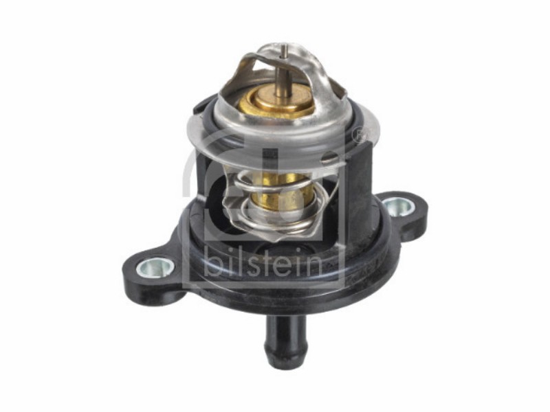 Termostato con anello tenuta Ford car: b-max (12),c-max II (11),c-max II (15),eco