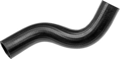 Curved hose