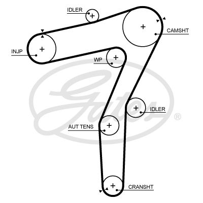 Timing belt