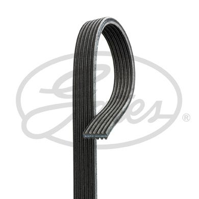 V-ribbed belt