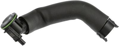 Hose, crankcase ventilation