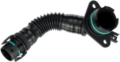 Crankcase ventilation hose