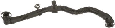 Hose, crankcase ventilation