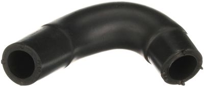 Hose, crankcase ventilation