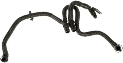 Hose, crankcase ventilation