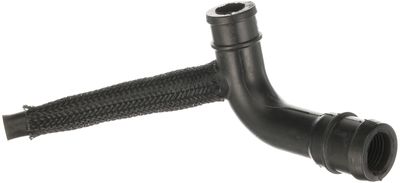 Hose, crankcase ventilation