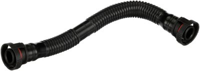 Hose, crankcase ventilation