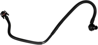Hose, crankcase ventilation