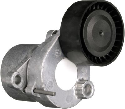 Tendicinghia cinghia Poly-V