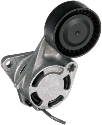 Tendicinghia cinghia Poly-V
