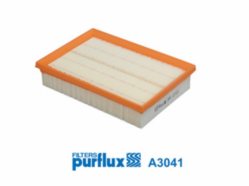 Filtro aria Ford