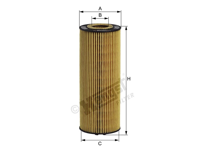 F. olio Audi