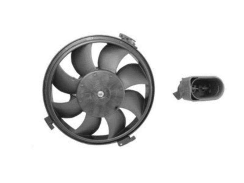 Fan