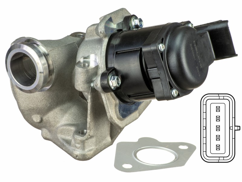 EGR valve